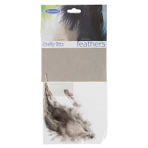 Tiger Tuft Feathers,  10pc