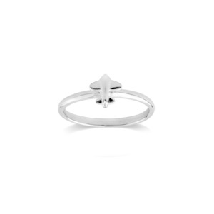 Jewellery: Aeroplane Ring - Adventure