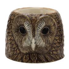 Quail Ceramics: Tawny Owl Egg Cup