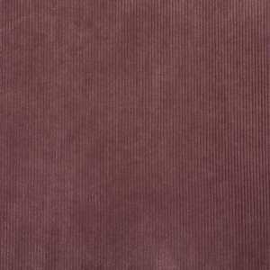 Darven 29 Corduroy Fabric