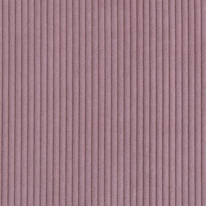 Darven 28 Corduroy Fabric