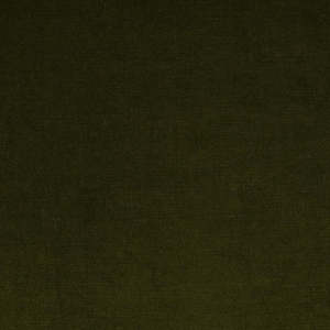 Trend Moss Velvet Fabric