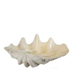 Large Cream Clam Shell