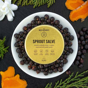 The Nude Alchemist | Sprout Salve