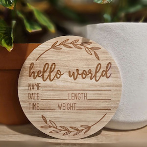 Products: Birth & Milestone Plaque Little Bug