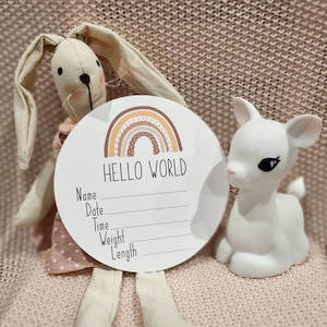 Products: Birth Plaque Pastel Rainbow Little Bug