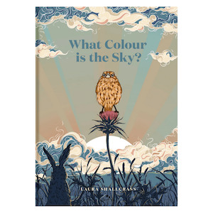 Toy: What Colour is the Sky? by Laura Shallcrass