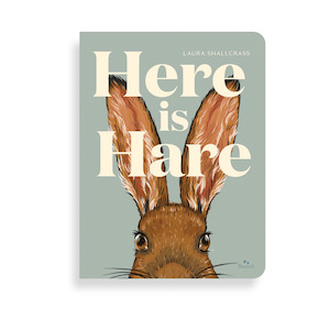 Toy: Here Is Hare - Search & Find Book