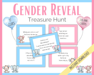 Gender Reveal Treasure Hunt - Pink and Blue