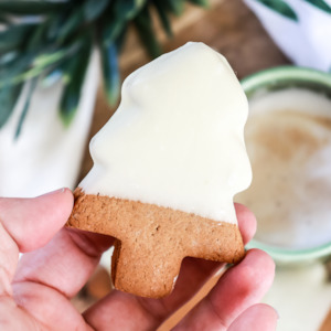 Gift: Iced Christmas Tree Cookie