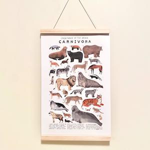 Baby wear: Wooden Poster Hanger