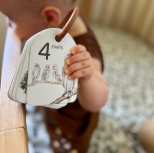 Baby wear: Modern Monty | Ringed Woodland Colours and Counting Flash Cards