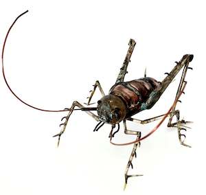 Giant Weta