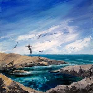 Art gallery: Rock Pools