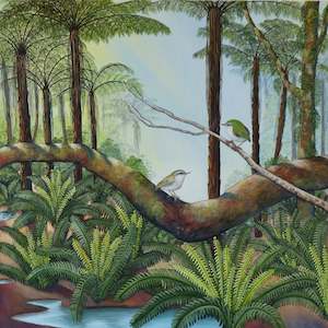 Art gallery: Titipounamu in the Fern Forest