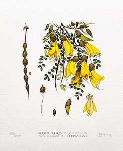 Kowhai Print