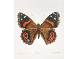 NZ Red Admiral Print