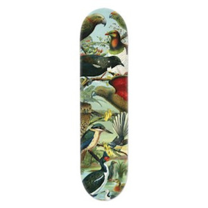 Souvenir: Native Birds of New Zealand Skate Board Deck Art