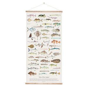 Fishes of NZ Canvas Wall Chart