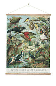 Souvenir: Native Birds of NZ Wall Chart