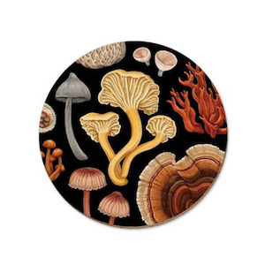 NZ Fungi Series Placemats & Coasters Bolete