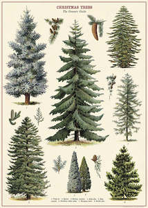 Poster or Gift Wrap - Christmas Trees