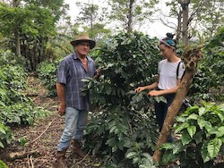 Coffee shop: Costa Rica La Quijada Del Diablo