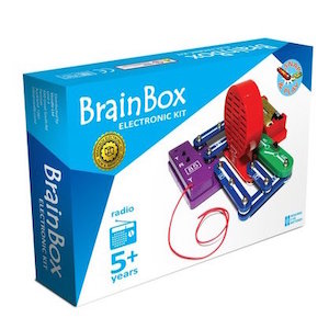 Brain Box Small FM Radio Kit