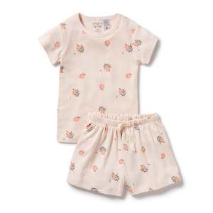 Baby Sleepwear: Wilson & Frenchy Organic Pointelle Short Sleeved Pyjamas Peaches