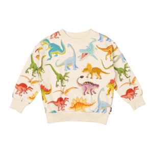 Boys Jumpers Jackets: Rock Your Kid Dinos Galore Sweatshirt