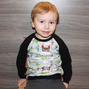 Baby wear: Dragons and Knights Raglan Top  Sz NB-5