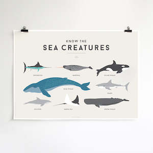 Gift: Squared Charts - Sea Creatures