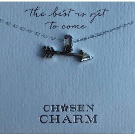 charm it range, charms, chain bracelets, gift idea, collection, novelty, jewelle…