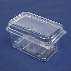 K750 Clear Plastic Punnet Clamshell 115x179x98mm | 200/Ctn