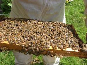 Grocery home delivery: Bruce and Sharon's Honey