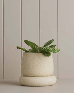 Robert Gordon | Ground Planter | White Speckle