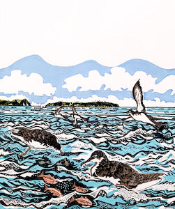 Art by Vivien Davimes - Shearwaters/Pakaha on the Hauraki Gulf 1/12