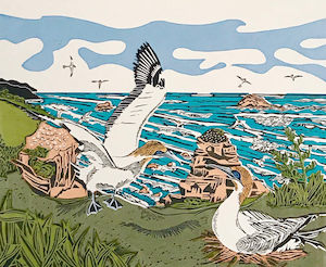 Art by Vivien Davimes - Gannets/Takapu at Muriwai A/P