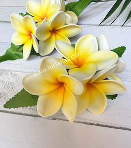 MAITEINE Plumeria Hair Clip