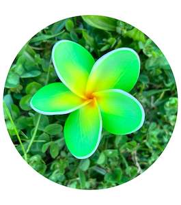 ALMA Baby Plumeria