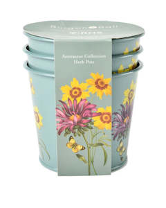 Homewares: RHS Herb Pots - Asteraceae Collection