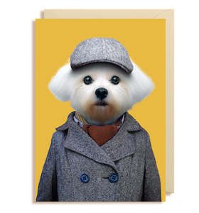 Homewares: Maltese Dog Card