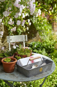 Homewares: Galvanized Trug - Sophie Conrad