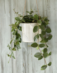 “Burgon & Ball Hanging Pot - Modena