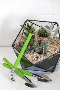 Burgon & Ball - Houseplant & Terrarium Tool Set