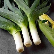 Heirloom Leeks - Musselburgh