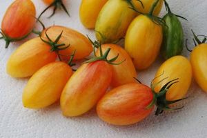 Heirloom Tomato: Artisan Blush