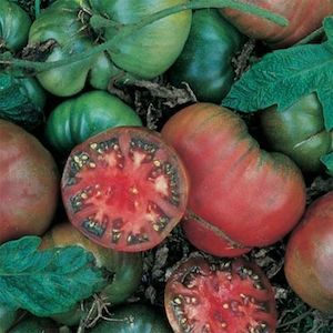 Vegetable growing: Heirloom Tomato: Black Krim