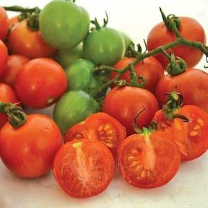 Heirloom Tomato: Tommy Toe