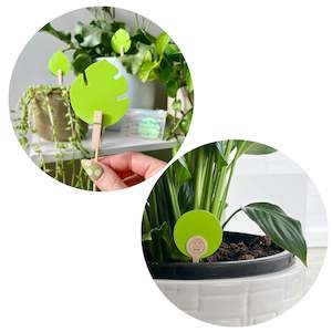 Plant, garden: uBloomd Bugs Bundle - 30 traps - 10 x Monstera Leaf + 10 x Round + 10 x Nature